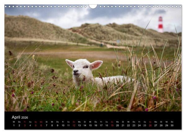 Produktbild: SYLT hinter den D&uuml;nen (Wandkalender 2026 DIN A3 quer), CALVENDO Monatskalender