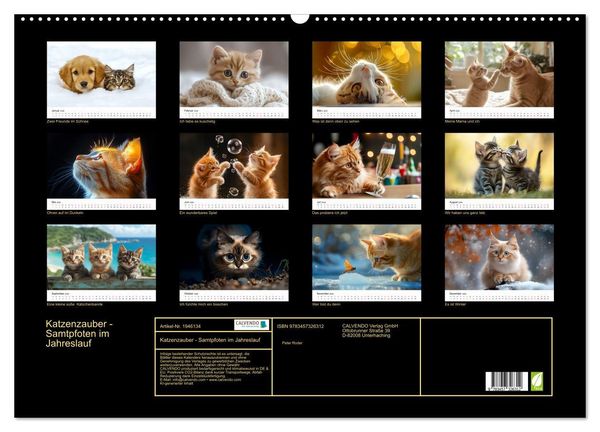 Produktbild: Katzenzauber - Samtpfoten im Jahreslauf (Wandkalender 2026 DIN A2 quer), CALVENDO Monatskalender