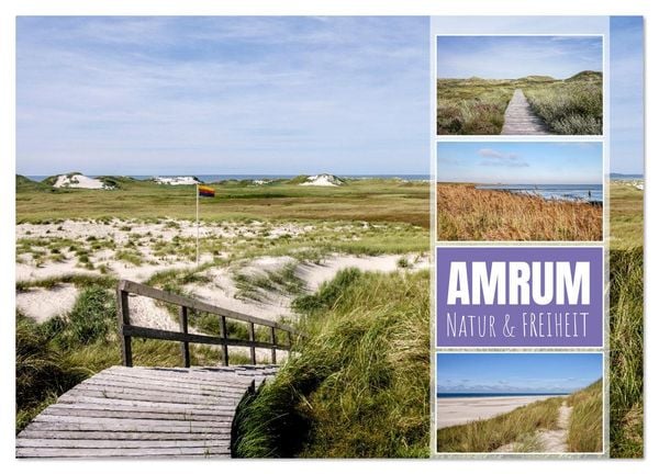 Amrum: Natur und Freiheit (Wandkalender 2026 DIN A4 quer), CALVENDO Monatskalender