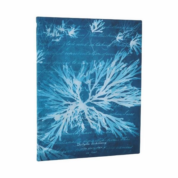 Produktbild: Notizbuch, Meeresblumen, Ultra, Liniert