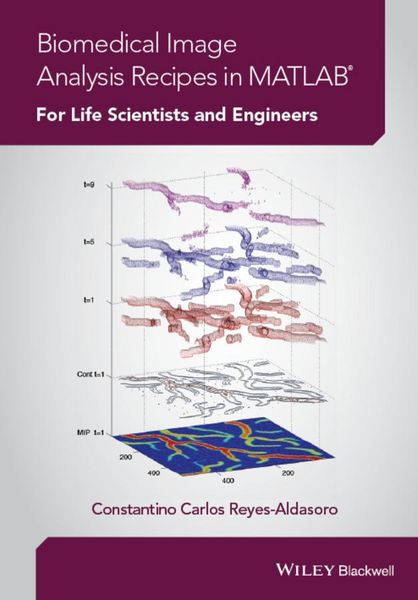 Produktbild: Biomedical Image Analysis Recipes in MATLAB