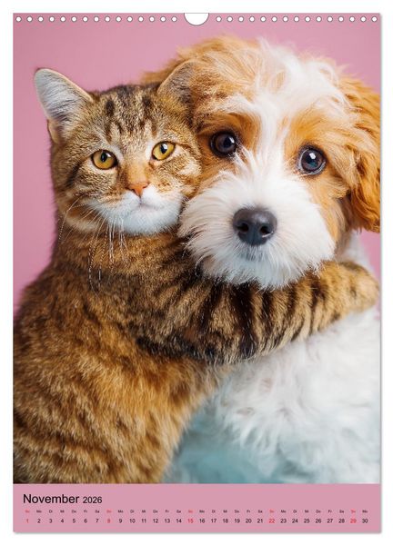 Produktbild: Freundschaftskalender - Katzen und Hunde, beste Freunde in Umarmung (Wandkalender 2026 DIN A3 hoch), CALVENDO Monatskalender