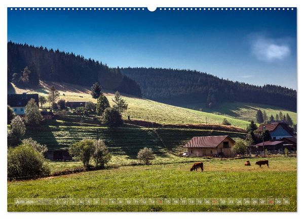Produktbild: Schwarzwald (Wandkalender 2026 DIN A2 quer), CALVENDO Monatskalender