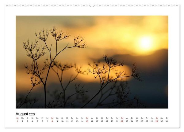 Produktbild: Zauber verg&auml;nglicher Bl&uuml;ten (hochwertiger Premium Wandkalender 2027 DIN A2 quer), Kunstdruck in Hochglanz