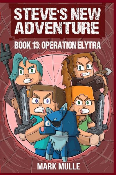 Produktbild: Steve's New Adventure Book 13