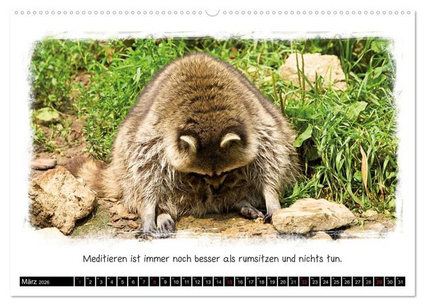 Produktbild: Tierisch witzig (hochwertiger Premium Wandkalender 2026 DIN A2 quer), Kunstdruck in Hochglanz