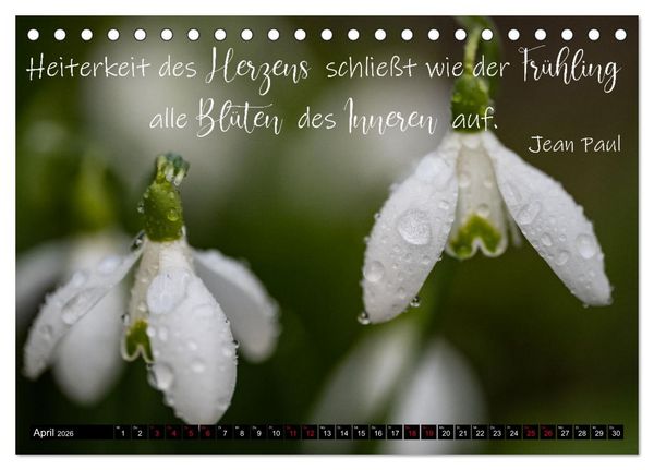 Produktbild: Bilder und Texte f&uuml;r die Seele (Tischkalender 2026 DIN A5 quer), CALVENDO Monatskalender