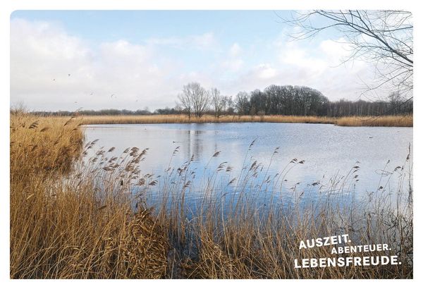 Produktbild: 52 kleine & gro&szlig;e Eskapaden im M&uuml;nsterland