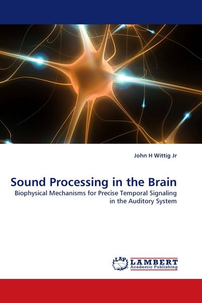 Produktbild: Sound Processing in the Brain