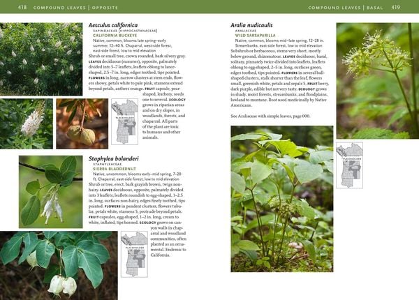 Produktbild: Trees and Shrubs of the Pacific Northwest