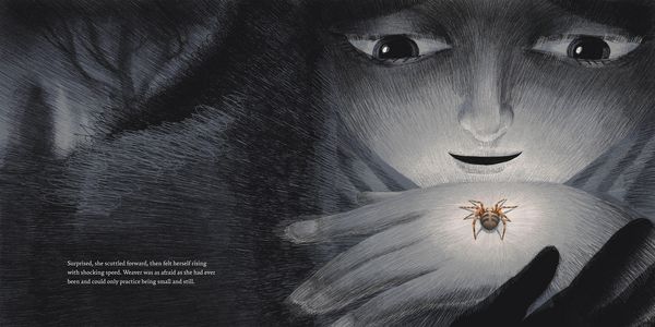 Produktbild: Weaver and the Web