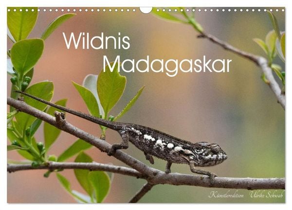 Produktbild: Wildnis Madagaskar (Wandkalender 2027 DIN A3 quer), CALVENDO Monatskalender