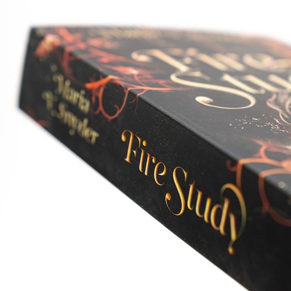Produktbild: Fire Study