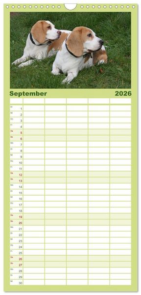 Produktbild: Familienplaner 2026 - DER BEAGLEige TERMINPLANER mit 5 Spalten (Wandkalender, 21 x 45 cm) CALVENDO