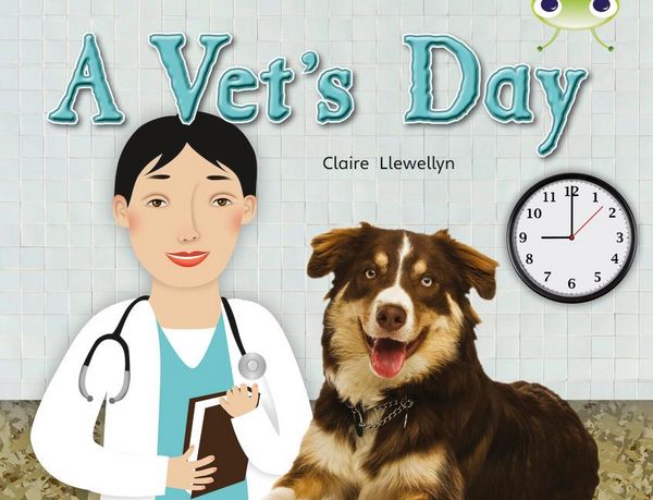 Produktbild: Bug Club Guided Non Fiction Year 1 Green B A Vet's Day