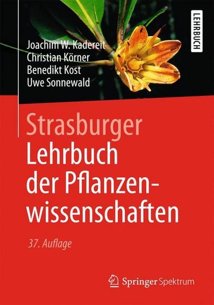 Produktbild: Strasburger &minus; Lehrbuch der Pflanzenwissenschaften