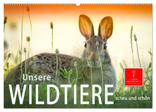 Unsere Wildtiere - scheu und schön (Wandkalender 2025 DIN A2 quer), CALVENDO Monatskalender