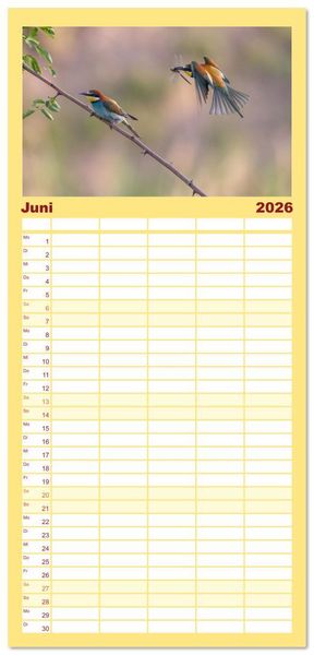 Produktbild: Familienplaner 2026 - Bunte Flieger mit 5 Spalten (Wandkalender, 21 x 45 cm) CALVENDO