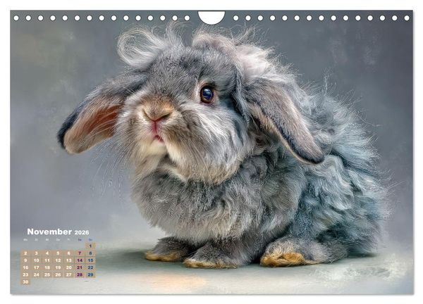 Produktbild: Kaninchenportraits &ndash; Szenen voller Charme (Wandkalender 2026 DIN A4 quer), CALVENDO Monatskalender
