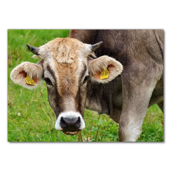 Puzzles Für Erwachsene, 1000 Teile, Highland Cow Puzzles, Geburtstagsgeschenke Für Erwachsene, Schwieriges Spiel, Lernspielzeug, 75 X 50 Cm