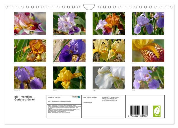 Produktbild: Iris - mond&auml;ne Gartensch&ouml;nheit (Wandkalender 2026 DIN A4 quer), CALVENDO Monatskalender