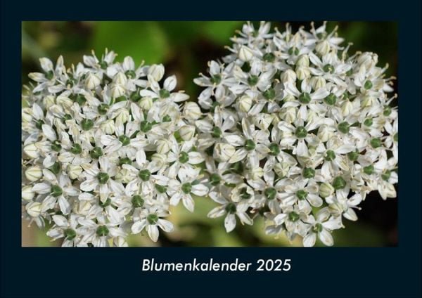 Produktbild: Blumenkalender 2025 Fotokalender DIN A4