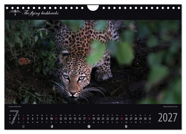 Produktbild: Botswana Blickwinkel 2027 (Wandkalender 2027 DIN A4 quer), CALVENDO Monatskalender