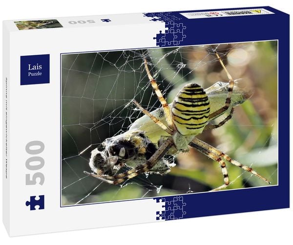 Lais Puzzle Spinne mit eingewickelter Wespe 500 Teile