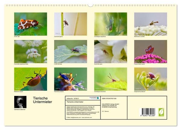 Produktbild: Tierische Untermieter (hochwertiger Premium Wandkalender 2026 DIN A2 quer), Kunstdruck in Hochglanz