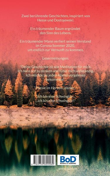 Produktbild: Pictor's Wandel
