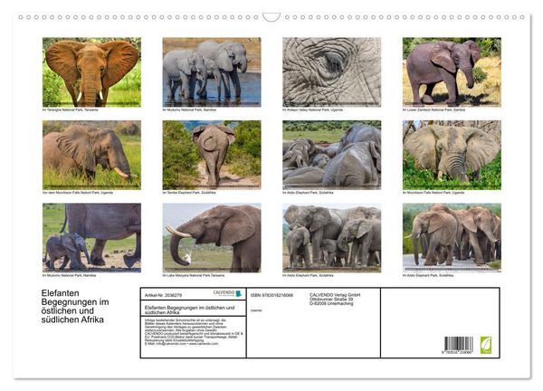 Produktbild: Elefanten Begegnungen im &ouml;stlichen und s&uuml;dlichen Afrika (Wandkalender 2026 DIN A2 quer), CALVENDO Monatskalender