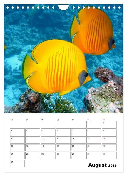 Produktbild: Zauberwelt. Fische, Korallen und Co. (Wandkalender 2026 DIN A4 hoch), CALVENDO Monatskalender