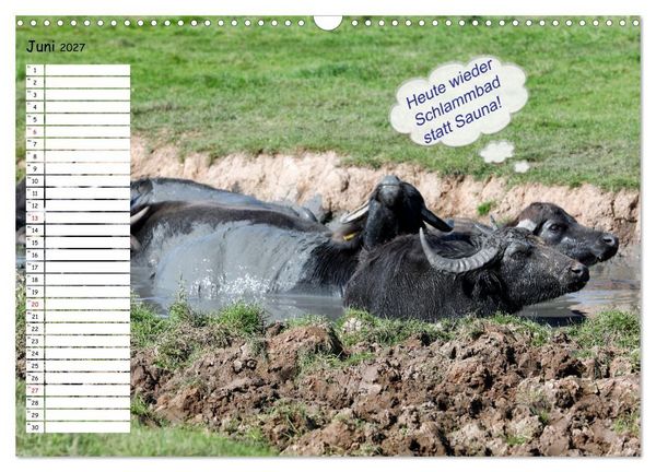 Produktbild: Wenn Tiere Sprechen k&ouml;nnten! Der lustige Spr&uuml;che Geburtstagskalender (Wandkalender 2027 DIN A3 quer), CALVENDO Monatskalender