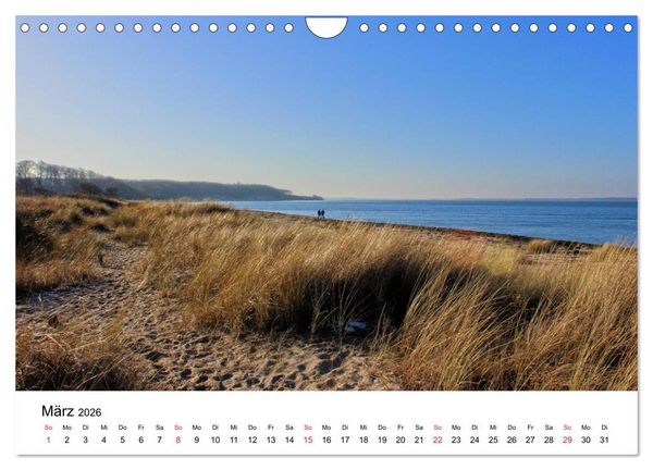 Produktbild: Ostseek&uuml;ste 2026 (Wandkalender 2026 DIN A4 quer), CALVENDO Monatskalender