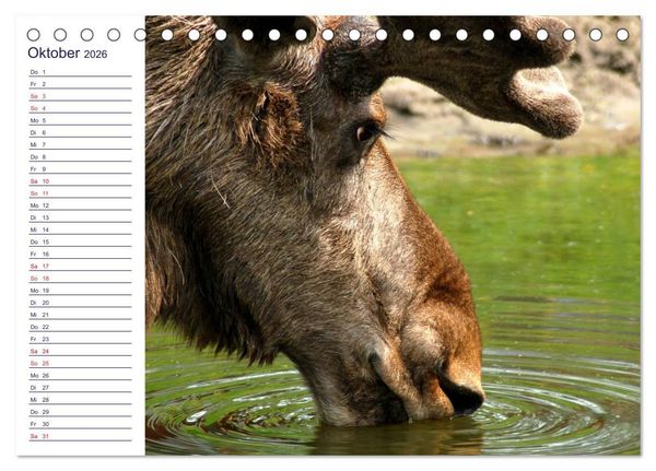 Produktbild: faszinierendes Schweden Smaland (Tischkalender 2026 DIN A5 quer), CALVENDO Monatskalender
