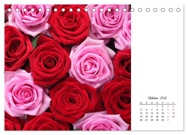 Produktbild: Die vielen Gesichter der Rosen (Tischkalender 2026 DIN A5 quer), CALVENDO Monatskalender