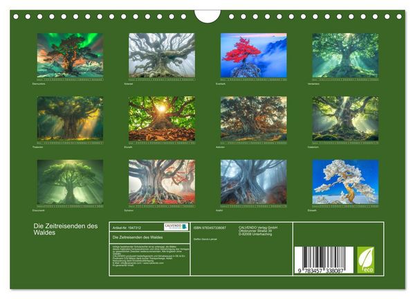 Produktbild: Die Zeitreisenden des Waldes (Wandkalender 2026 DIN A4 quer), CALVENDO Monatskalender