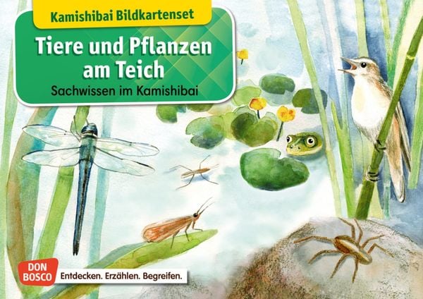Produktbild: Tiere und Pflanzen am Teich. Kamishibai-Bildkartenset.