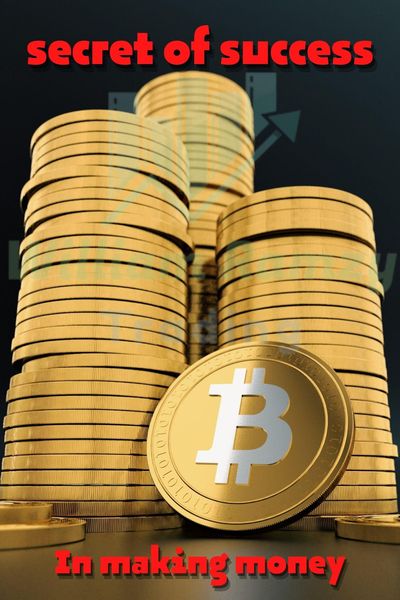 Produktbild: The Secret of Success in Making Money