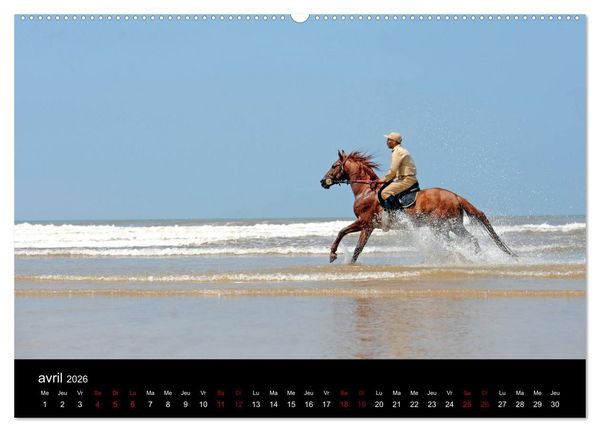 Produktbild: Les chevaux du Maroc (Calendrier mural 2026 DIN A2 vertical) calendrier de bureau