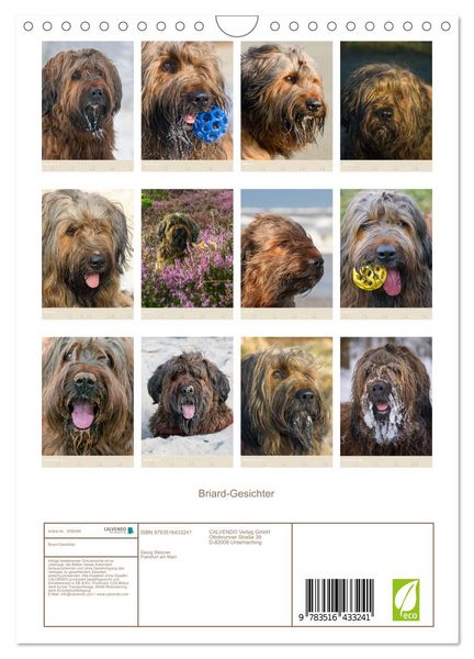 Produktbild: Briard-Gesichter (Wandkalender 2026 DIN A4 hoch), CALVENDO Monatskalender