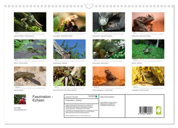 Produktbild: Faszination - Echsen (Wandkalender 2026 DIN A3 quer), CALVENDO Monatskalender