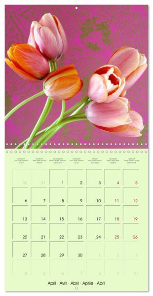 Produktbild: Tulipes &eacute;l&eacute;gantes (Calendrier mural carr&eacute; 2026 30x30 cm) Calendrier double avec une page pour vos prises de notes