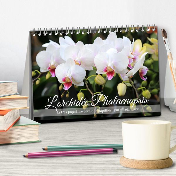 Produktbild: L'orchid&eacute;e Phalaenopsis (Calendrier de bureau 2026 DIN A5 vertical), CALVENDO calendrier mensuel