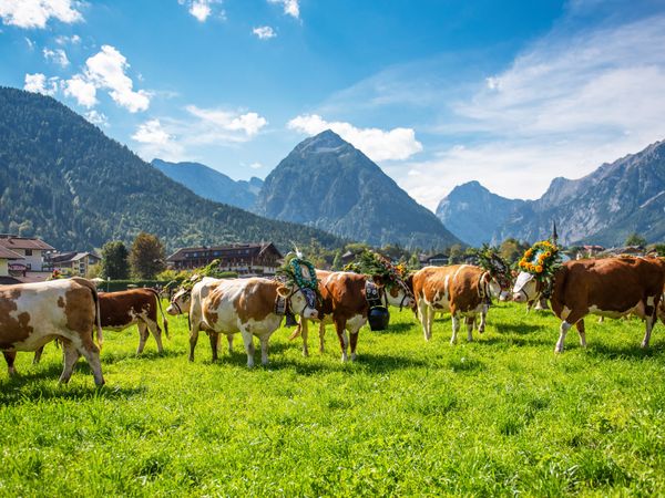 Produktbild: CALVENDO Puzzle Almabtrieb in Pertisau | 1000 Teile Lege-Gr&ouml;&szlig;e 64x48cm Foto-Puzzle f&uuml;r gl&uuml;ckliche Stunden