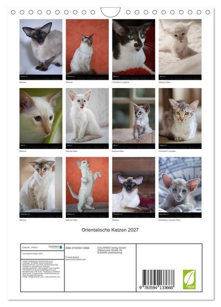 Produktbild: Orientalische Katzen 2027 (Wandkalender 2027 DIN A4 hoch), CALVENDO Monatskalender