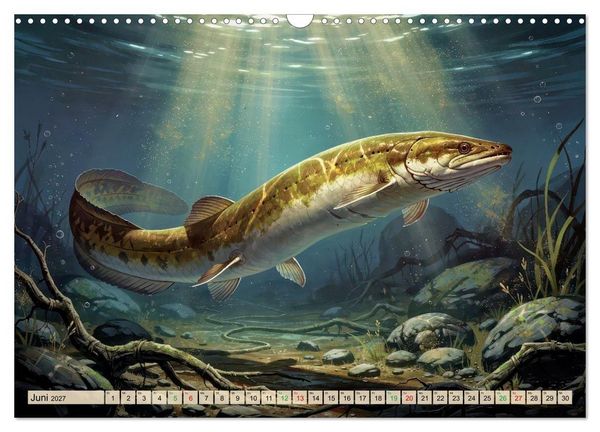 Produktbild: Aale in Seen und Fl&uuml;ssen (Wandkalender 2027 DIN A3 quer), CALVENDO Monatskalender