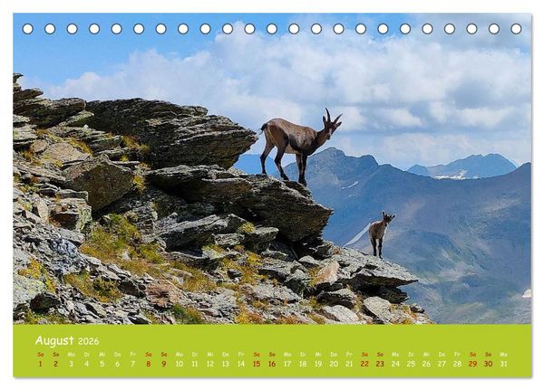 Produktbild: Majest&auml;tische Alpen (Tischkalender 2026 DIN A5 quer), CALVENDO Monatskalender