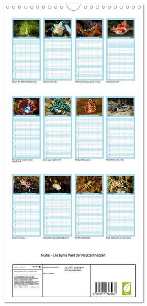 Produktbild: Familienplaner 2026 - Nudis &ndash; Die bunte Welt der Nacktschnecken mit 5 Spalten (Wandkalender, 21 x 45 cm) CALVENDO