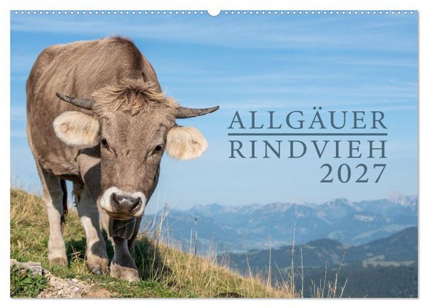 Produktbild: Allg&auml;uer Rindvieh 2027 (Wandkalender 2027 DIN A2 quer), CALVENDO Monatskalender